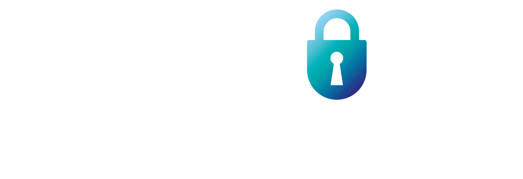 DataSafe logo
